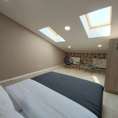 Two-bedroom Near Forum Apartment Lviv